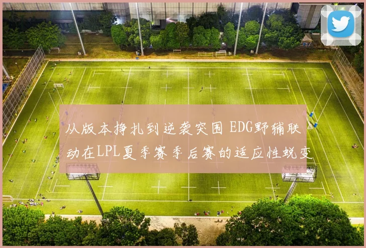 从版本挣扎到逆袭突围 EDG野辅联动在LPL夏季赛季后赛的适应性蜕变