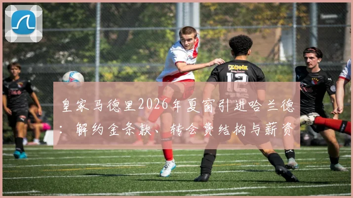 皇家马德里2026年夏窗引进哈兰德:解约金条款、转会费结构与薪资博弈深度解析